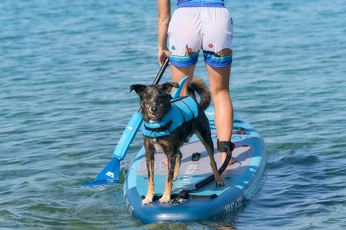 Damen Outfit 6 - Türkis - lycra kurzarm, kraťasy volné, hundeschwimmweste hai