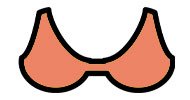 Sport Bras