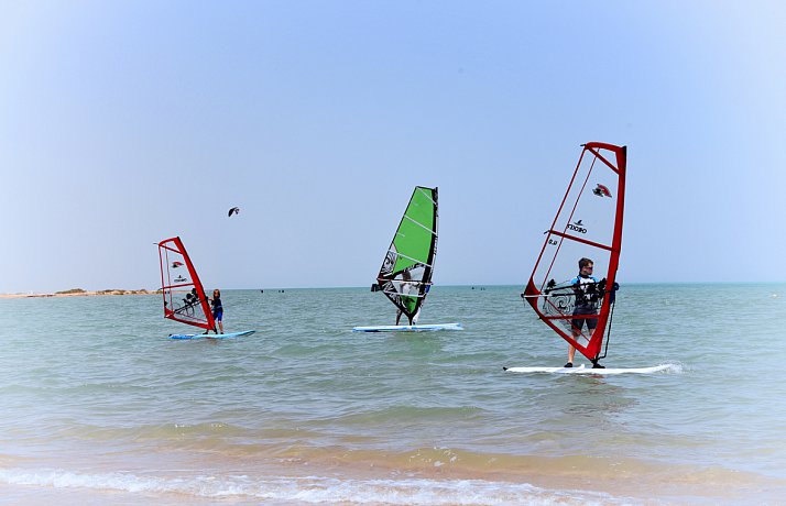 F2 CHECKER RIG Segel für das WindSUP und Windsurfboard Größe: 4,0m