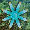 Set für SUP Yoga - aufblasbares AQUA MARINA Yoga Dock  + 8x SUP AQUA MARINA DHYANA 11'0 Modell 2025