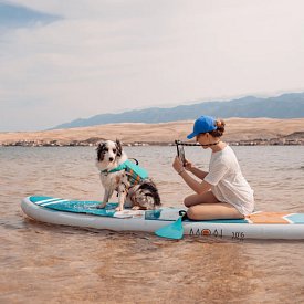 Hundematte MOAI SUP Deckpad Classic Dog