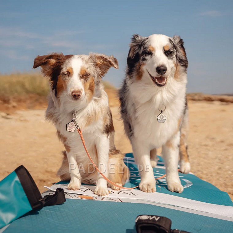 Hundematte MOAI SUP Deckpad Classic Dog